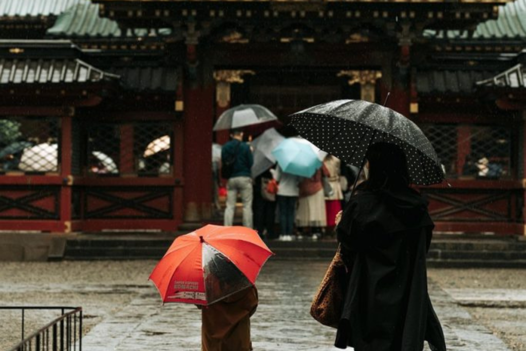 Insurance Fraud: What It Is and How to Avoid It featured image (2)